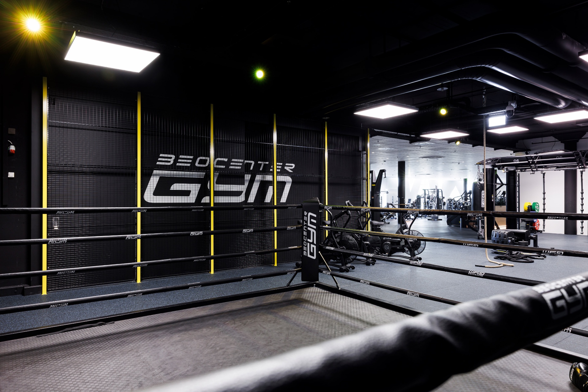 Boxing Area & – Bild 1