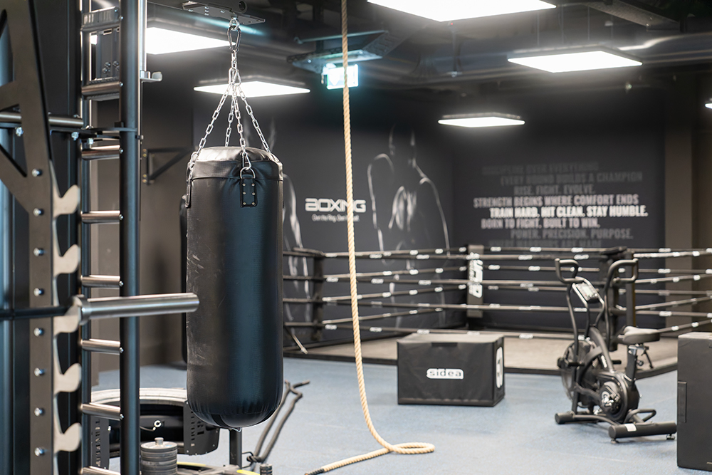 Boxing Area & – Bild 4